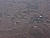 IMG 1517ia