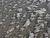 IMG 1520ia