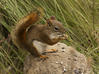Sample image from gallery