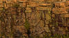 Sample image from gallery