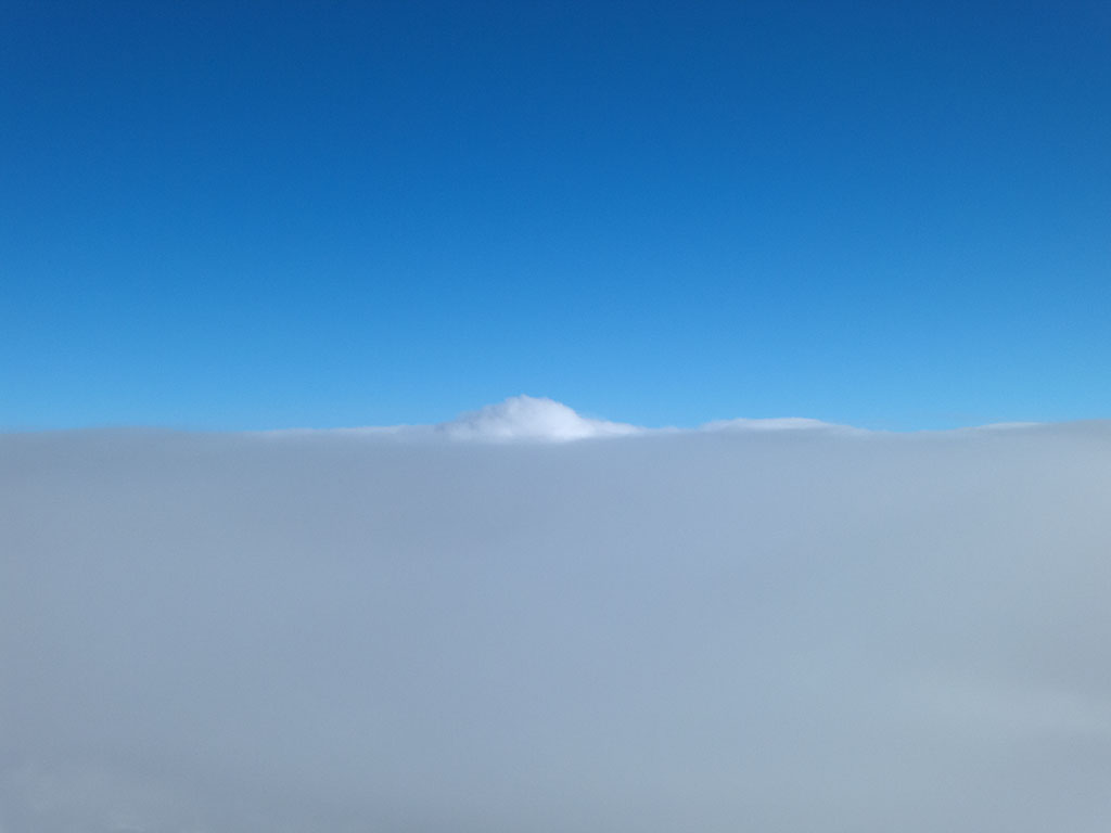 IMG 0721