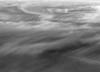 IMG 0745bw