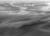 IMG 0745bw