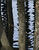  A049641croofm