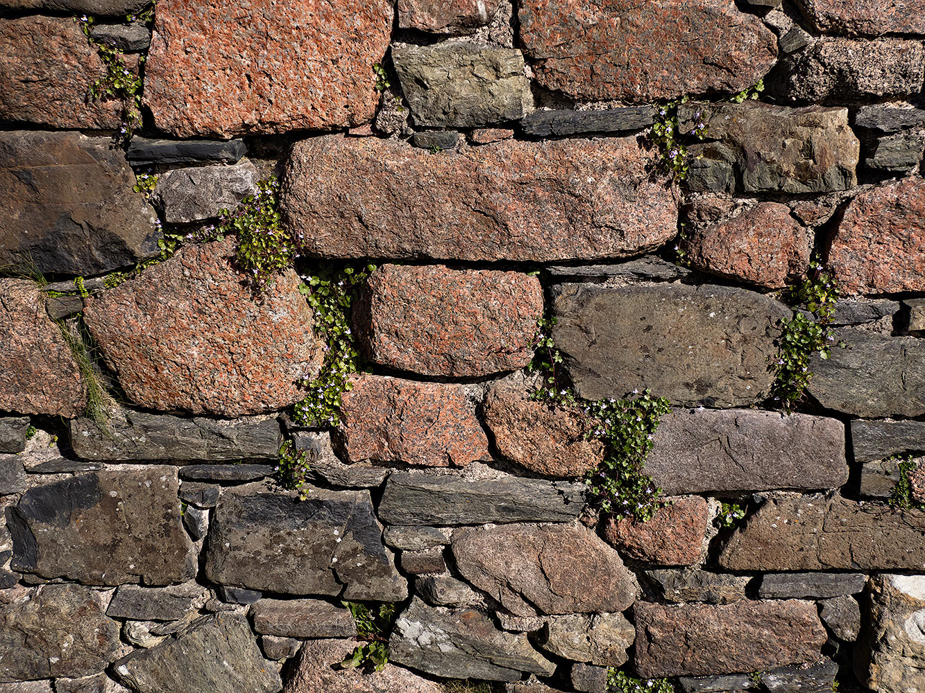  B005199oof40
