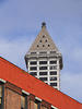 Sample image from gallery
