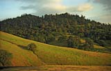 Sfoothills1