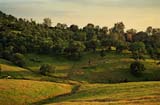 Sfoothills2