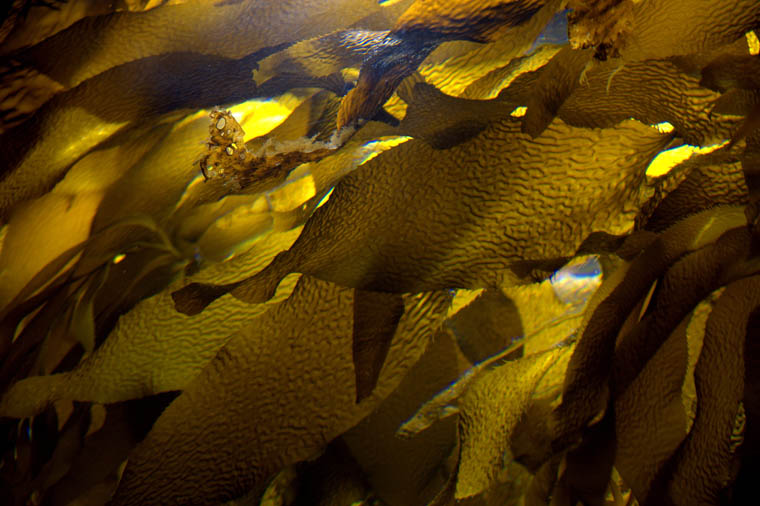 _MG_0226.jpg