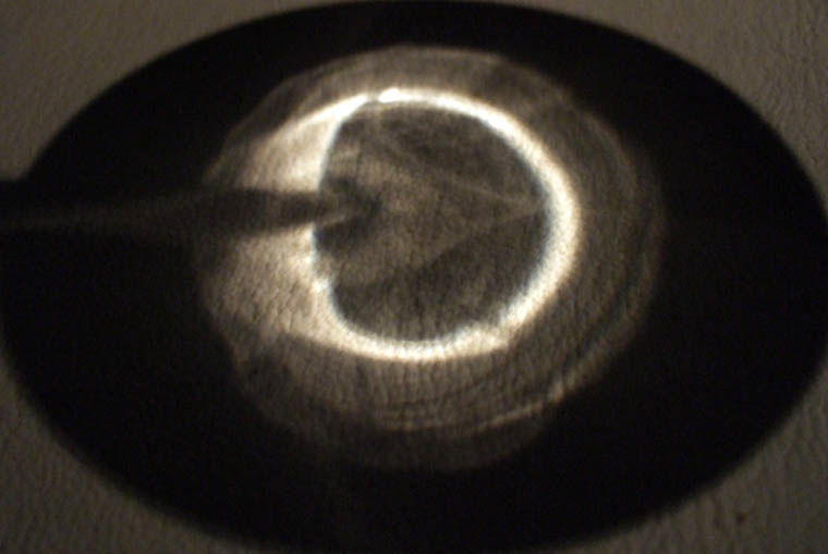 DSCF0994.jpg