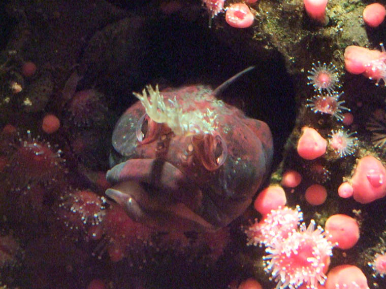 DSCF0970.jpg