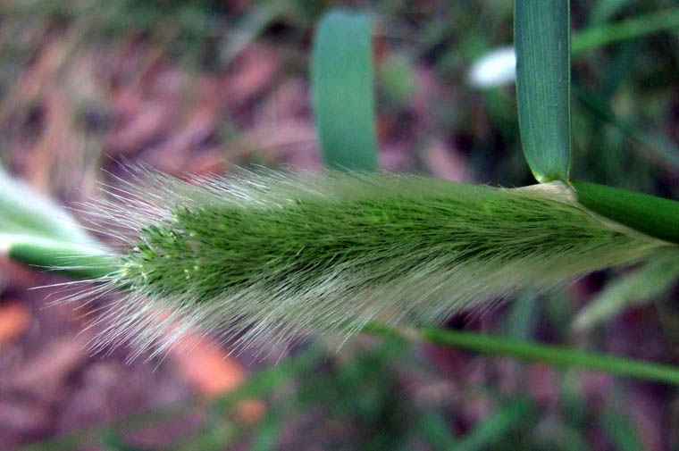 DSCF1032.jpg