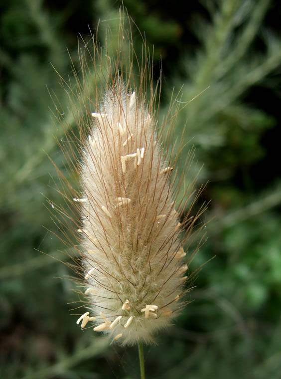 DSCF0974.jpg