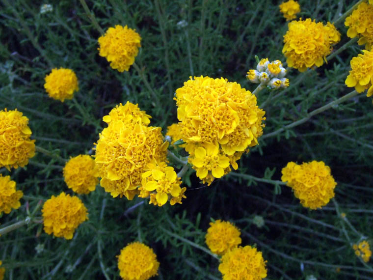 DSCF0983.jpg