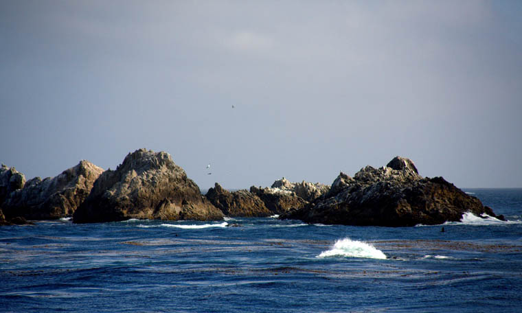 _MG_0418.jpg