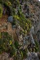 _MG_0359