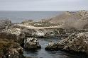 _MG_0362