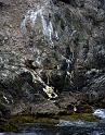 _MG_0390