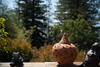 _DSC0537cor.jpg