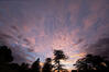  DSC0678-79cor