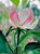 647Gord-R1-068-32Aii