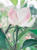 647Gord-R1-068-32Ao